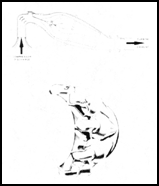 Can-type Combustion Chamber (Cutaway)
