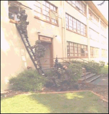 Figure 3-13. Entering using portable ladder