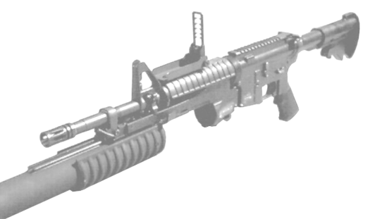 Figure 3-3. M4 carbine with rail system.