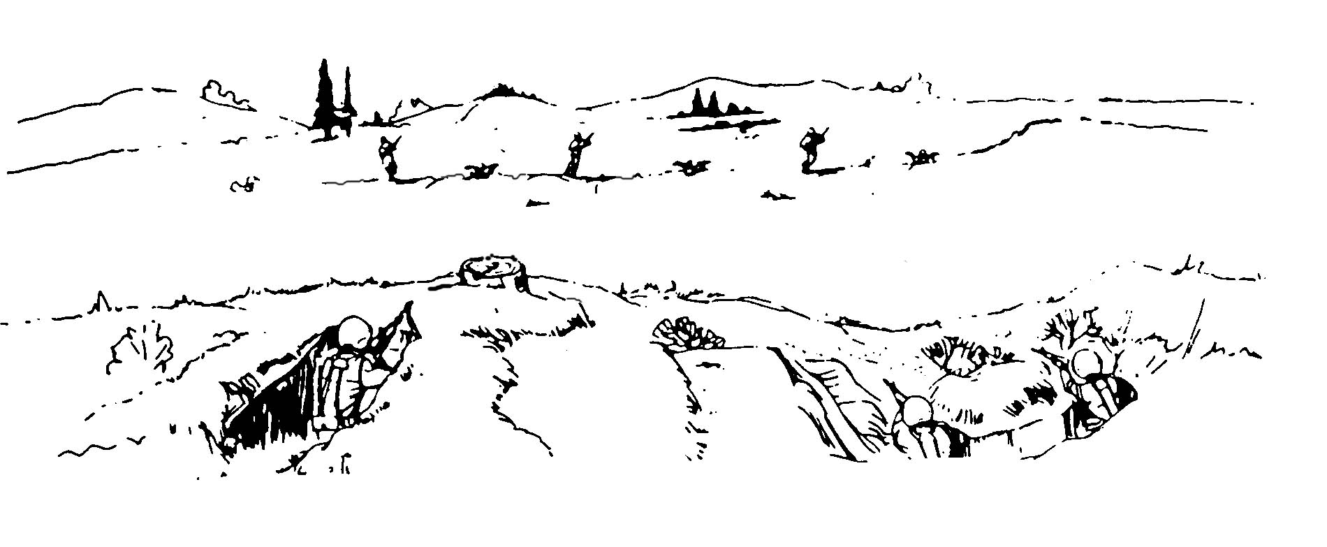 Figure 5-7. Linear target.