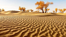 Taklamakan Desert