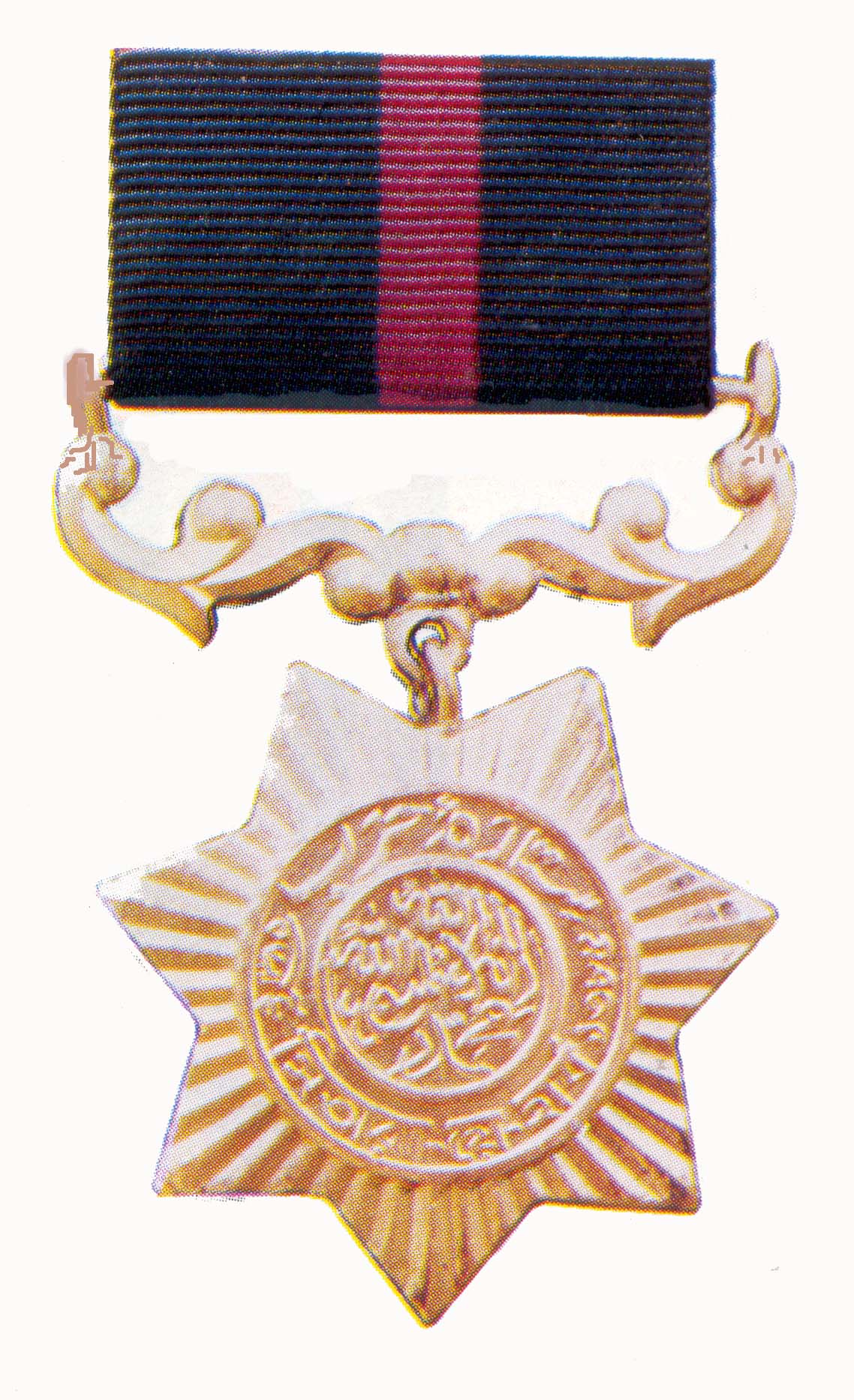 Army Awards & Decorations